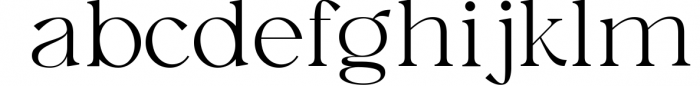 Austen - Aesthetic Serif Font 6 Font LOWERCASE