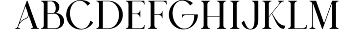 Austen - Aesthetic Serif Font 7 Font UPPERCASE