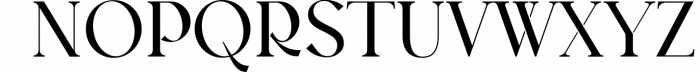 Austen - Aesthetic Serif Font 7 Font UPPERCASE