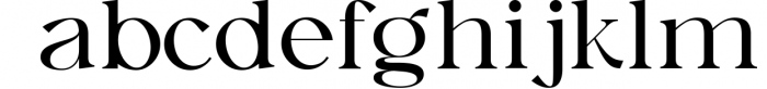 Austen - Aesthetic Serif Font 7 Font LOWERCASE