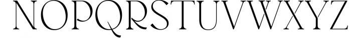 Austen - Aesthetic Serif Font Font UPPERCASE