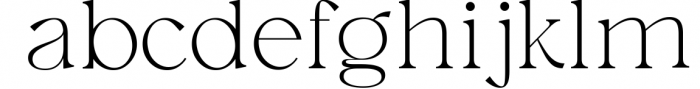 Austen - Aesthetic Serif Font Font LOWERCASE