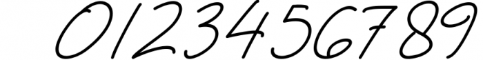 Austin Signature Font Font OTHER CHARS