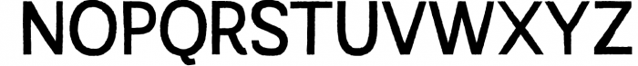 Austral Sans *Complete Family 10 Font UPPERCASE