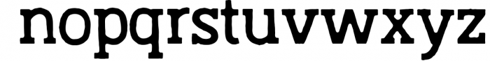 Austral Slab *Complete Family 10 Font LOWERCASE