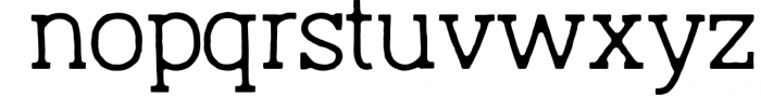 Austral Slab *Complete Family 12 Font LOWERCASE