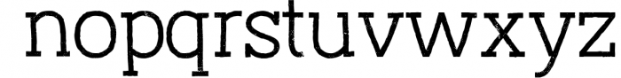 Austral Slab *Complete Family 5 Font LOWERCASE