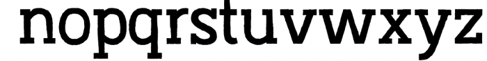 Austral Slab *Complete Family 7 Font LOWERCASE