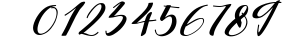 Authenthic Font Bundle 13 Font OTHER CHARS
