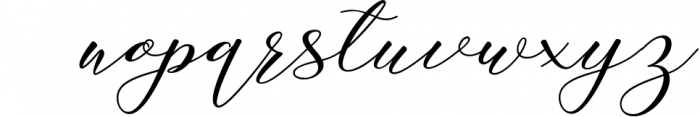 Authenthic Font Bundle 18 Font LOWERCASE
