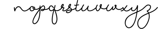 Authenthic Font Bundle 19 Font LOWERCASE