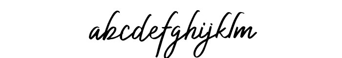 Authorized Signature Regular Font LOWERCASE