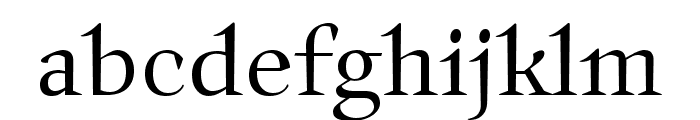 Auxerre 45 Light reduced Font LOWERCASE