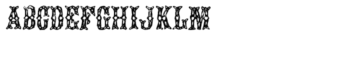 Augustine Regular Font UPPERCASE