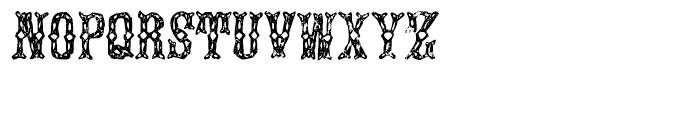 Augustine Regular Font LOWERCASE