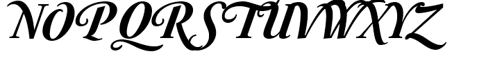 Australis Pro Swash Bold Italic Font UPPERCASE