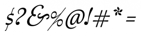 Australis Pro Swash Italic Font OTHER CHARS
