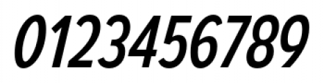 Autoradiographic Italic Font OTHER CHARS