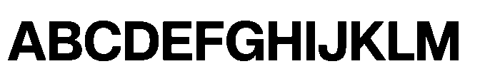 Audit Sans Bold Font UPPERCASE