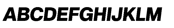Audit Sans Heavy Italic Font UPPERCASE
