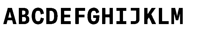 Auger Mono Bold Font UPPERCASE