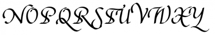 Augusta Swash Font UPPERCASE