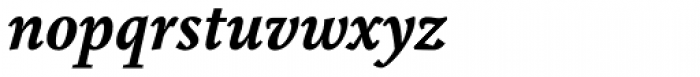 Augustin Bold Italic Font LOWERCASE