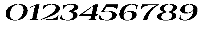Auralic Extra Bold High Expanded Italic Font OTHER CHARS