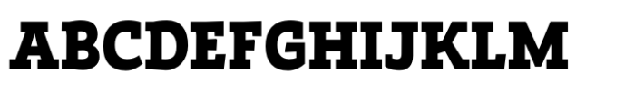 Auster Slab Black Font
