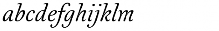 Australis Pro Italic Font LOWERCASE