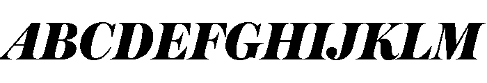Austin Fat Italic Font UPPERCASE