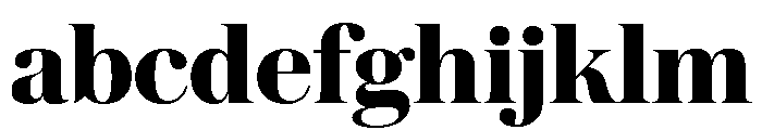 Austin News Headline Bold FONT