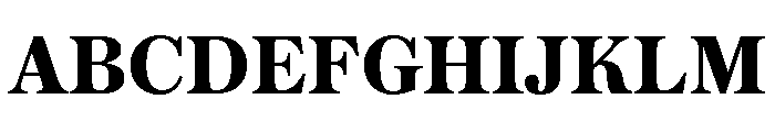 Austin Text Bold Font UPPERCASE