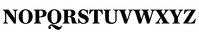 Austin Text Bold Font UPPERCASE
