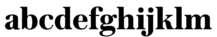Austin Text Bold FONT