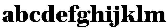 Austin Text Fat FONT