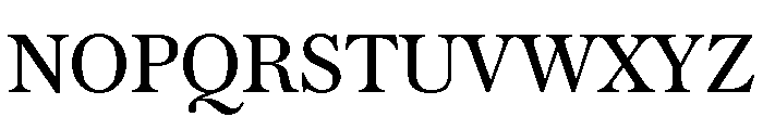 Austin Text Roman Font UPPERCASE