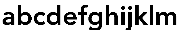 Avenir Next Bold FONT