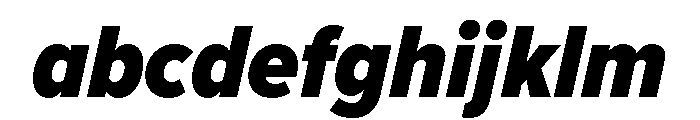 Avenir Next Heavy Italic FONT