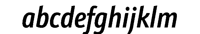 Avenir Next Medium Italic FONT