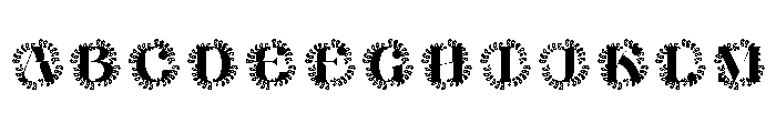 Avelynne Monogram FONT