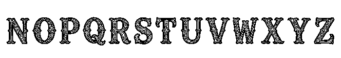 Avena Regular Font UPPERCASE