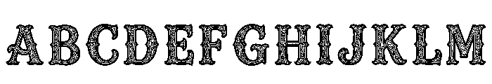 Avena Regular FONT