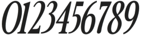 Avantime Narrow Extra Bold Italic otf (700) Font OTHER CHARS