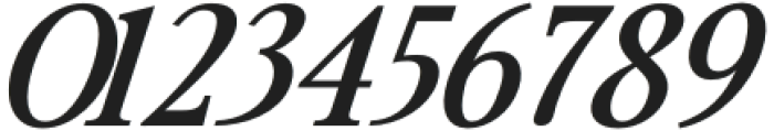 Avantime Wide Bold Italic otf (700) Font OTHER CHARS