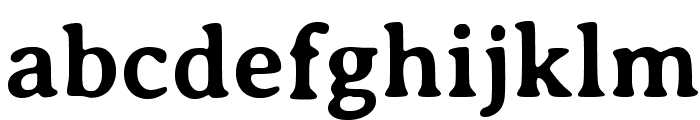 Averia Serif Libre Bold Font LOWERCASE
