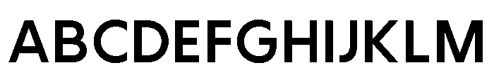 Avoka ZT_Standard Version 1.0 Bold Font UPPERCASE