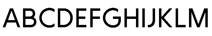 Avoka ZT_Standard Version 1.0 Regular Font UPPERCASE