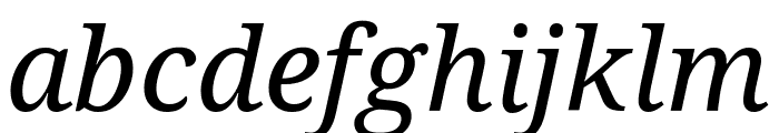 Avrile Serif Italic Font LOWERCASE