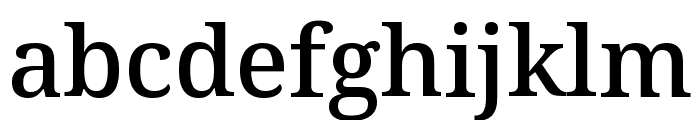 Avrile Serif Medium Font LOWERCASE